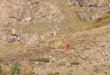 Phát hiện sinh vật mình đầy lông lá ở sườn núi, nghi “quái vật” mất tích gần 150 năm ở Mỹ