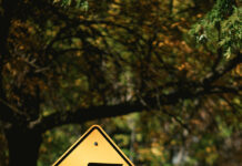 RẼ NGANG ĐỂ ĐI LÊN