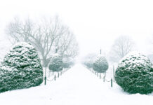 Lẽ thường tình