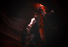 EM CỨ LÒNG VÒNG NHƯ CON CHÓ CẮN ĐUÔI…