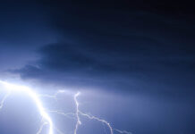 7 CÂY QUYỀN LỰC