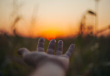 LỜI KHUYÊN CỦA NGƯỜI RA ĐI