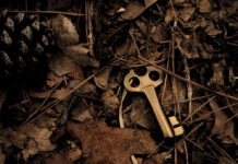 Em vô dụng quá phải không chị?