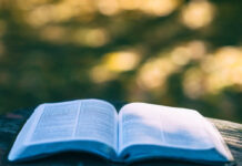 THE SINGLE SKILL SAVING YOUR JOB