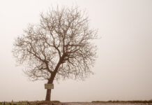 VŨNG LẦY CẢM XÚC