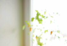 MUỐN SỐNG VUI VẺ HƠN? HÃY ĐỌC 1 QUYỂN SÁCH!