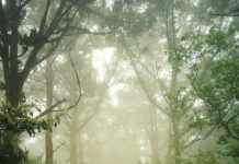 Clarity – Nếu muốn nhìn thấu và nhìn rõ