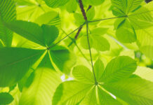 RETHINK – RESET – REFRESH