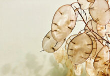 Chân thật cũng phải học…