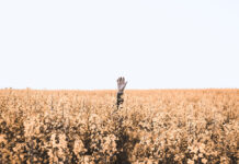 NƠI BẮT ĐẦU CỦA MẤT