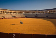 THE MAN IN THE ARENA