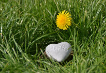 Làm việc hay làm nô lệ?