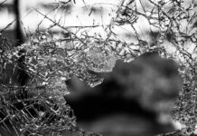 FINDING BEAUTY IN WHAT’S BROKEN – CÁI ĐẸP CỦA SỰ ĐỔ VỠ