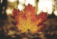 ARE YOU STILL RELEVANT?