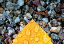 KHI HỌ KÉO NHAU NGHỈ LÀM…