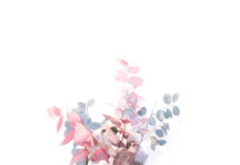 2 NGÀY QUAN TRỌNG