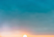 Tản mạn về hạnh phúc