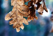 CƠ HỘI KHÔNG ĐẾN TỪ BÊN NGOÀI