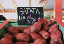 BE GENUINE OR LÀM THẾ NÀO ĐỂ TRỞ THÀNH CỦ KHOAI