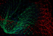 VĂN HOÁ DỮ LIỆU – DATA-DRIVEN CULTURE