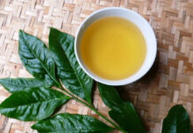 Vì sao chúng ta bị say chè xanh?