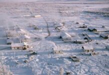 Ở nơi lạnh nhất thế giới, mọi thứ đều đóng băng, người ta ăn gì?