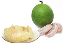 Một quả bưởi có tác dụng bằng 10 loại thuốc, nhưng lưu ý điều này mới đạt được hiệu quả