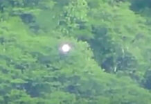 Quả cầu phát sáng kỳ lạ trên một khu rừng ở Mexico