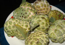 Na chính vụ, thèm ăn đến mấy cũng cần tránh những sai lầm này khi ăn