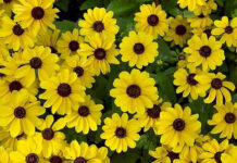 Đừng vội kết án