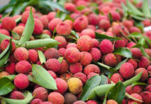 14 lợi ích tuyệt vời của quả vải đối với sức khỏe và sắc đẹp