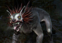 Sự thật về quỷ hút máu Chupacabra