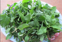 Có thể thay thế rau xanh bằng trái cây được không?