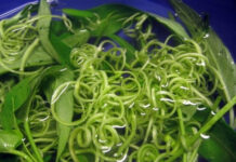 Ăn rau muống: Những điều cần hết sức lưu ý