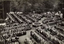 Giải mã bất ngờ về khu rừng bí ẩn nhất nước Mỹ