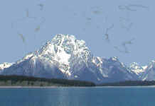 Những hiện tượng thị giác kì lạ xảy ra với con mắt, bạn đã từng bị chưa?