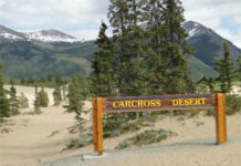 Sa mạc nhỏ chứa đầy bí ẩn nhưng các nhà khoa học vẫn không thể giải thích được