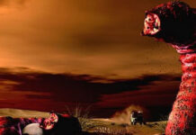 Bí ẩn “loài sâu tử thần” có thể giết chết người mà không cần cắn