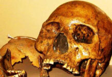 Sự thật về người khổng lồ tóc đỏ bí ẩn ở hang Lovelock