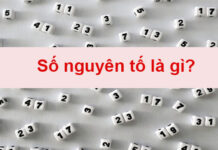 Số nguyên tố là gì? Số siêu nguyên tố là gì?