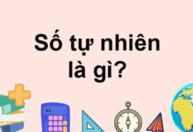 Số tự nhiên là gì? Tập hợp N và N* khác nhau như thế nào?