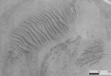 Bí ẩn các sọc đá “vằn hổ” xuất hiện trên khắp Ethiopia