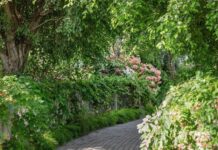 Nghiên cứu khoa học cho biết: Sống gần gũi với thiên nhiên giúp chống lại bệnh tật, tốt cho tâm lý!