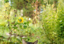 11 sự thật hiển nhiên đã được xác nhận bởi khoa học