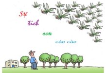 Sự tích con cào cào