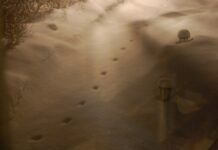 Những sự kiện bí ẩn đến rùng mình có thật nhưng chưa có lời giải