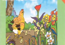 Sự tích hoa Mào gà