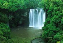 Sức mạnh của nước