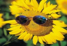 Sức mạnh của sự tập trung