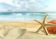 Lắng nghe những điều giản dị